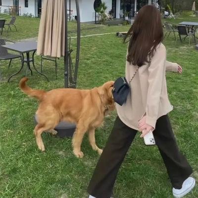 南波万的聚会第二季